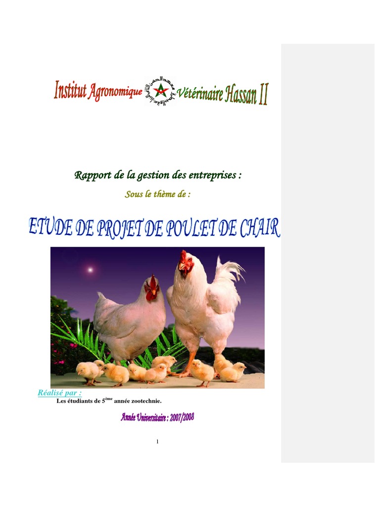 Projet Aviculture  PDF  Aviculture  Viande