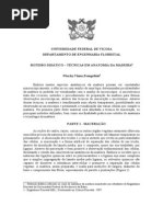 Anatomia Da Madeira UFRB