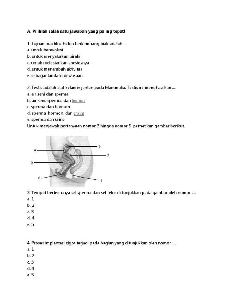 Contoh Soal Sistem Reproduksi