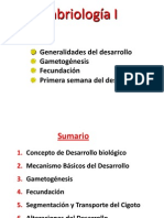 Gametogénesis, Fecundación, 1era Sem