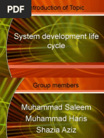 System Development Life Cycle Presentation