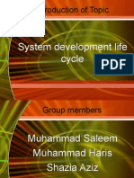 System Development Life Cycle Presentation