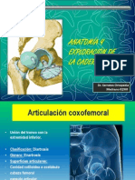 Ortopedia. Anat y Ef Cadera