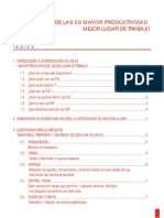 Metodologa de Las 5s - Mayor Productividad - Mejor Lugar de Trabajo PDF