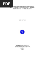 Download manggis1 by Rita Farida SN218960453 doc pdf