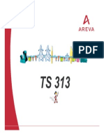 TS313B en