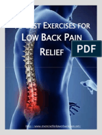 Best Exercises For Low Back Pain