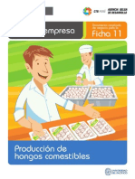 Ficha 11 - Produccion de Hongos Comestibles