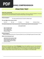 Reading Comprehension Practice