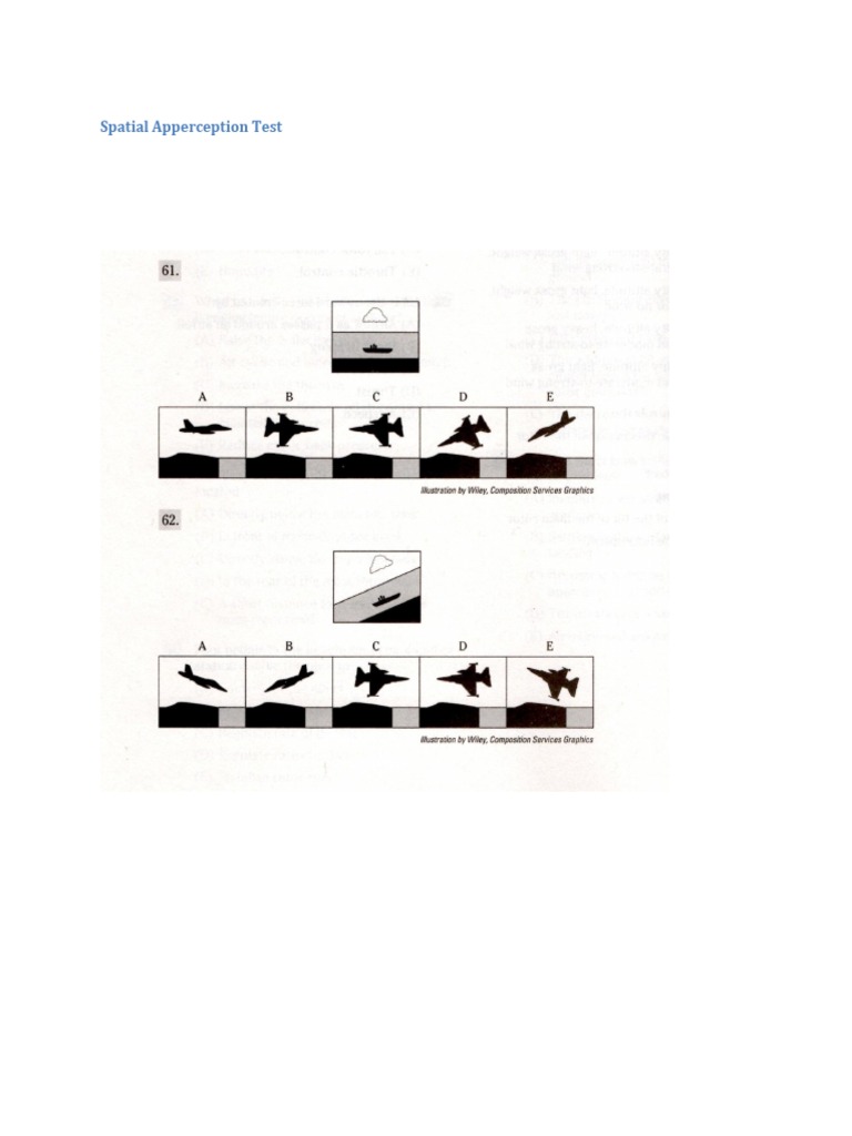 Spatial Apperception Test Guide | PDF