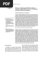 Download File Pkm 7 Kandungan Pimpinella by intanfajrin SN218981691 doc pdf