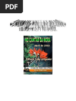 NO CANTAR DA HORA - NÚMERO 1