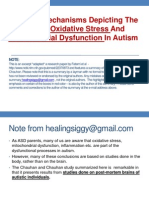 Oxidativestressandmitoinautism 120417203734 Phpapp01