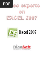 Cursos Experto en Excel 2007 PDF