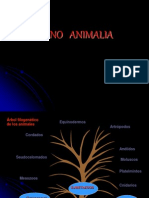 Intro Metazoarios PDF