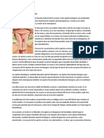 Los Quistes y El Cáncer de Ovario PDF