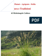 Natura e Tradizioni Di San Biagio Platani Di Michelangelo Caldara