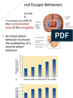 Attack Behaviors, Aggression Factors, and Brain Areas