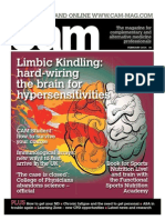 Limibic Kindling: Hard-Wiring The Brain For Hypersensitivities
