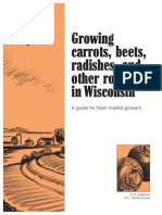 Growing Carrots and Other Root Crops