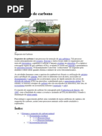 Sequestro de Carbono