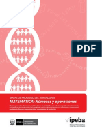 MapasProgreso Matematica NumerosOperaciones