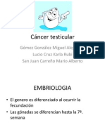 Cáncer testicular (1)