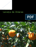 Manual Produtor Laranja