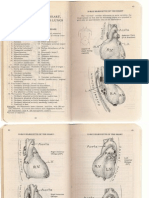Examination of The Heart, Peripheral Vessels, and Lungs