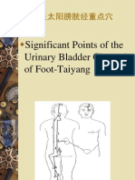 Significant Points of The Urinary Bladder Channel of Foot-Taiyang