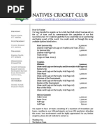 Download Sponsor Request Letter by NativesCC SN2190977 doc pdf
