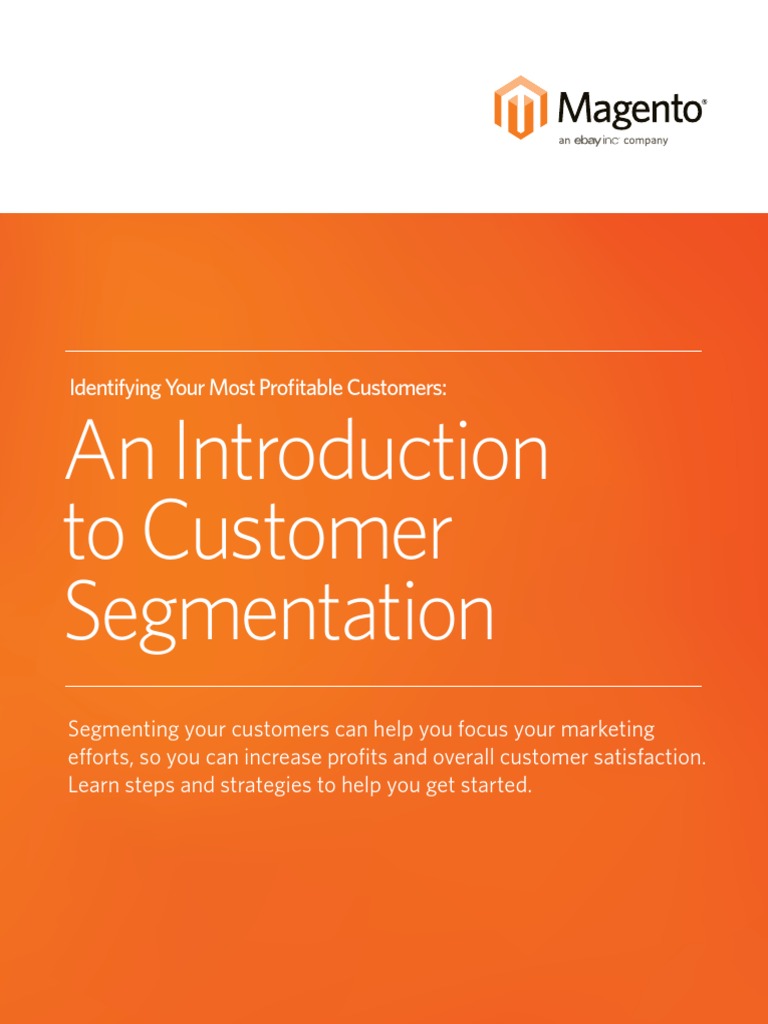 Customer Segmentation Strategies for Profit | PDF | Market Segmentation ...