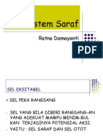 Sistem Saraf