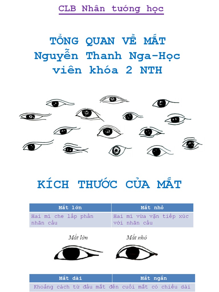 TƯỚNG MẮT PHỤ NỮ TIẾT LỘ TÍNH CÁCH VÀ VẬN MỆNH QUA TỪNG ĐƯỜNG NÉT
