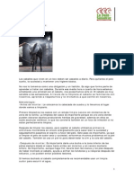 Limpieza Del Caballo PDF