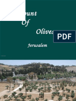 Jeruzalemski Okoli