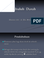 Pembuluh Darah