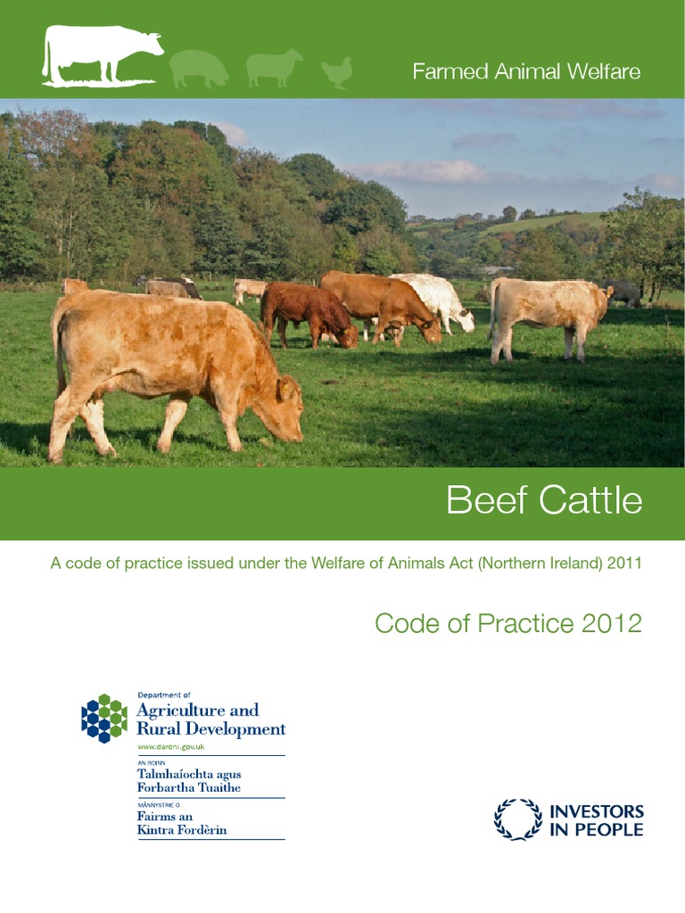 12-08-21 Revised Welfare Code Cattle1 | Download Free PDF | Animal ...