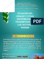 Consecuencia Del Dengue