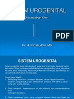 Histologi Sistem Urogenital