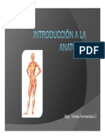 01 - Generalidades Anatomia