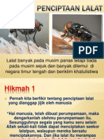 Hikmah Lalat