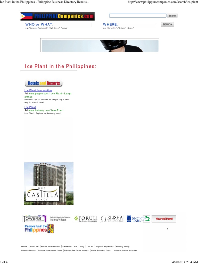 An Overview of Ice Plant Businesses Operating in the Philippines PDF