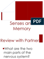 Senses and Memory
