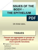 The Tissues of The Body - The Epithelium: DR Iram Iqbal