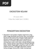 Download EKOSISTEM KOLAM by Ayu Nur Indah Sari I SN219181202 doc pdf