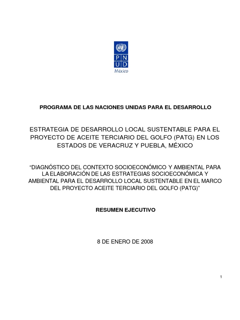 Diagnostico Plan de Las Naciones Unidas para El Desarrollo PNUD para El ...