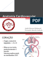 Anatomia Cardiovascular - LAC