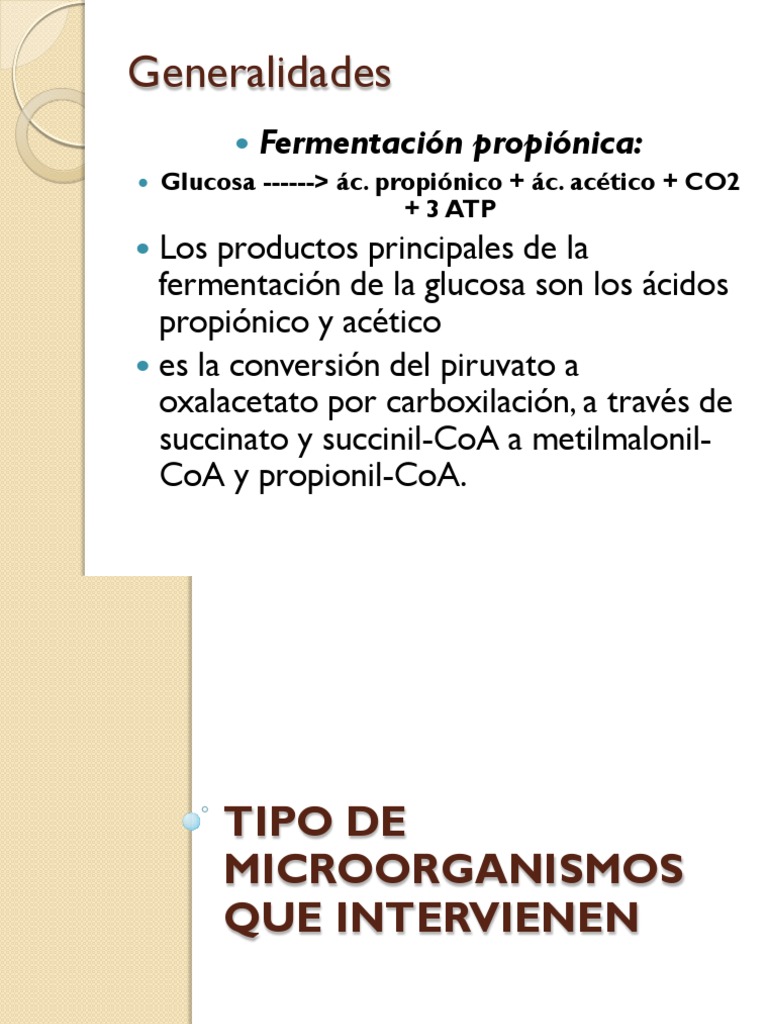 Fermentación Propiónica PDF