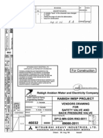 DM12-MN-GDK-RN3-0011 R1 Safety Valve&Back Pressure Valve